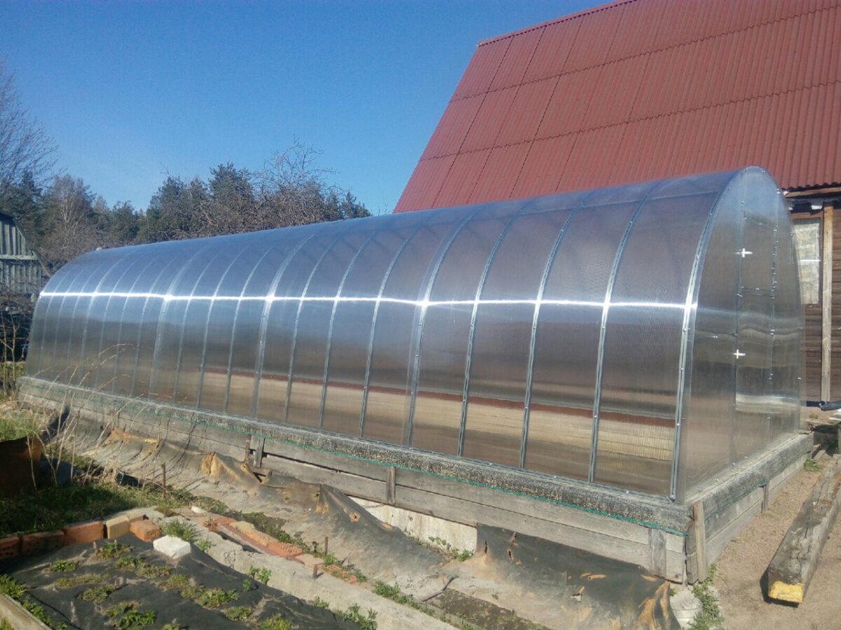 Сотовый поликарбонат 4 прозрачный Колибри 2100*12000